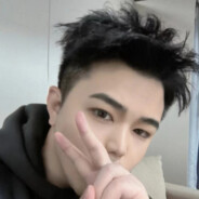 重生之我是带编明星Kris