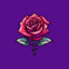 GTT | there`s Rose