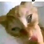 hi :3