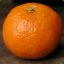 MandariN-0-