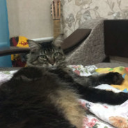 Куська
