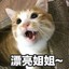 摸摸肚子饱啦