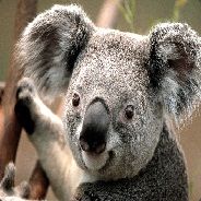 Razorkeen - steam id 76561197961209606