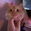 kokucatzzzz