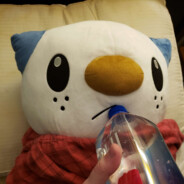 Fiji Water Drinking Otter