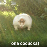 ... - steam id 76561197963248513