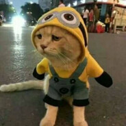 发誓可以，发朋友圈不行