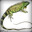 Iguana