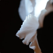 FREE 25$ FOR OPENING CASES