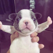 Thug Magnet