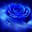 Orionic