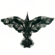 DRAVEN ◥◣|◢◤ avatar