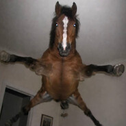 Honse
