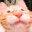 MiaouS