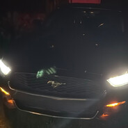 MUSTANG - steam id 76561198399265350