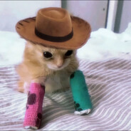 阿姆斯特朗大炮