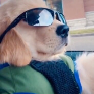 加你了，拒绝一下