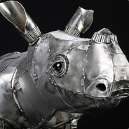 Royal Ryno - steam id 76561198041813635