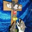 ratojesus