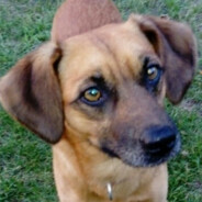 CosmicCrafter 🌌🎨