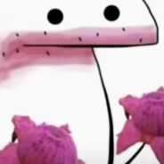 你要吃火龙果吗