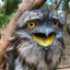Tawny Frogmouth