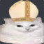 Pope Kitty III