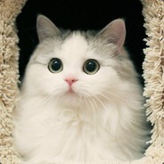 The overlord of Western Chu