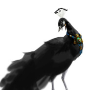 赵平云阿根廷分云