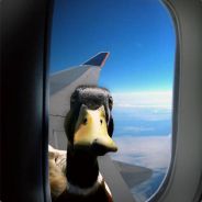 sk
