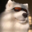 sir