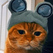 长枪局我饱受欺凌