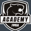 Furia Academy allad1n