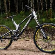 羡慕你们这些天天吃鸡的人