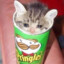 Mr. Pringles