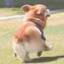 嘿鬼