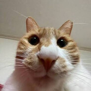 "MEOW"