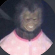 Eraggiツ Steam avatar