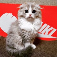 TraSHHHHHHHHHHHHHHHH