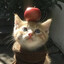 Avatar of Ching