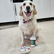 Rude Muffin avatarı