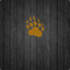 BoxedBear