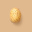 Little Potato