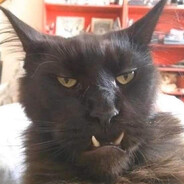 Попердели с сыром