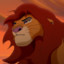 Simba_302