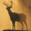 RampagingBuck