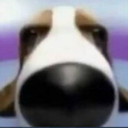 ZXC цылюлитная нога