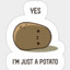 North Korean Potato