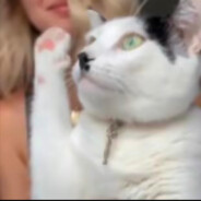 World War III wiped out Judea