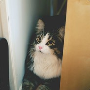 塔利班敢死队1号